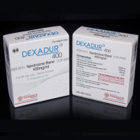 Thaiger Pharma Dexadur 400mg 10 Amp Thaiger Pharma Dexadur 400mg 10 Amp